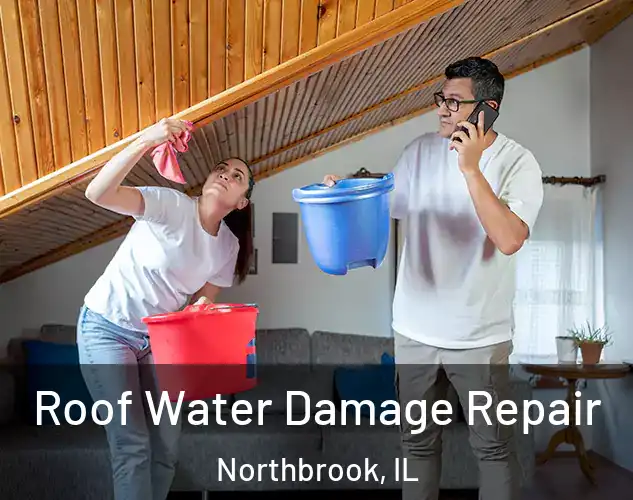  Roof Water Damage Repair Northbrook, IL